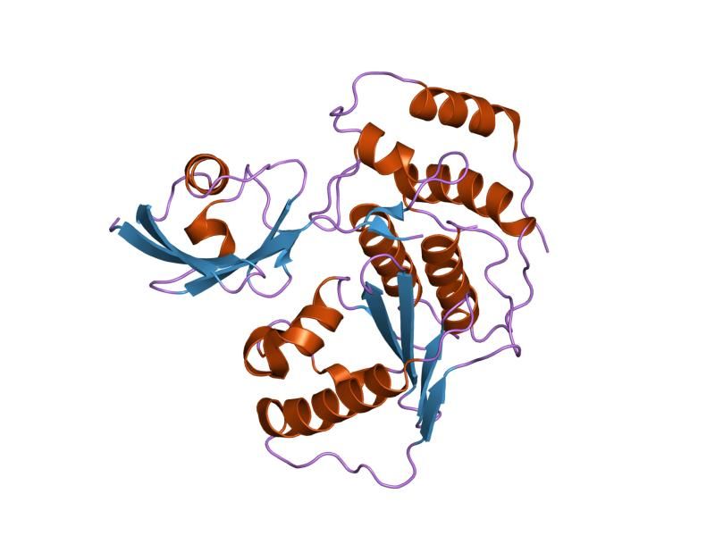 File:PDB 2ckh EBI.jpg