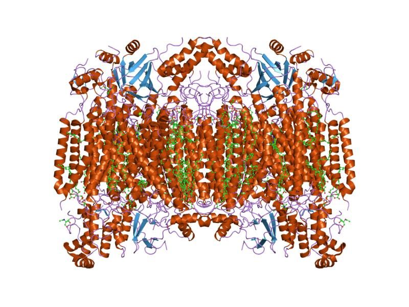 File:PDB 2ein EBI.jpg