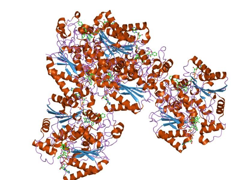 File:PDB 2f1o EBI.jpg