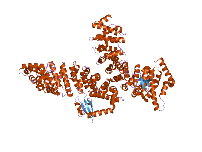 File:PDB 2jdq EBI.png