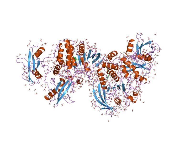 File:PDB 2shp EBI.jpg