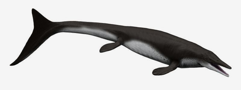 File:Tylosaurus nepaeolicus NT.png