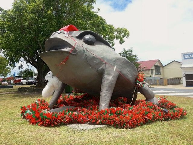 File:Big CaneToad.jpg