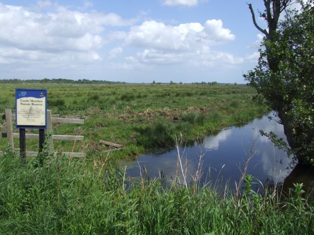 File:Castle marshes nature reserve.jpg