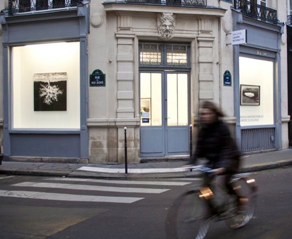 File:Galerie Laure Roynette.jpg