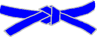 File:Judo blue belt.PNG