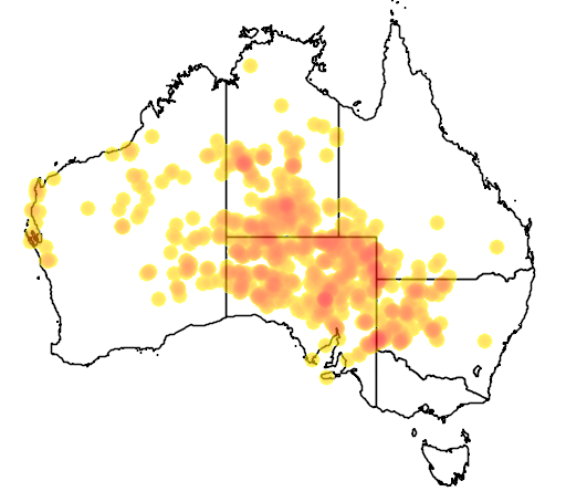 File:Nephrurus levis distribution map.png