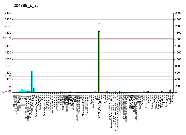 File:PBB GE PPOX 204788 s at fs.png