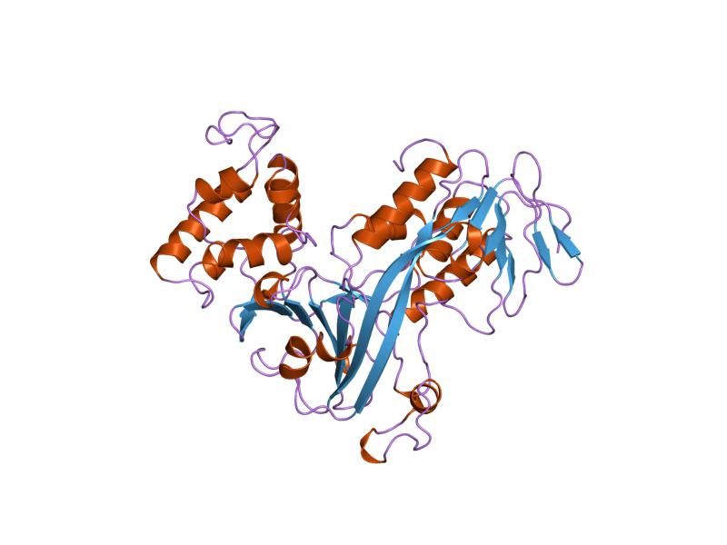 File:PDB 1gnd EBI.jpg