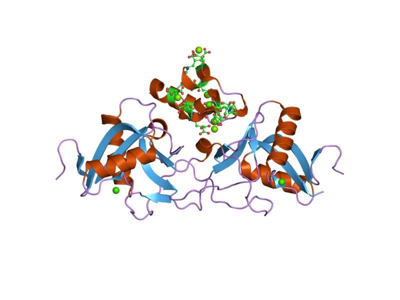 File:PDB 1j34 EBI.jpg