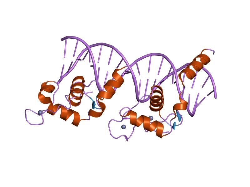 File:PDB 1kb2 EBI.jpg