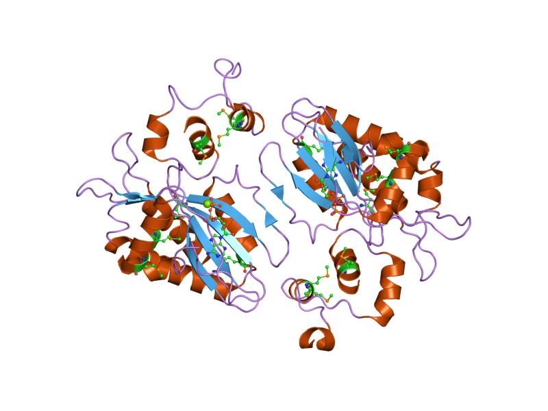 File:PDB 1tzd EBI.jpg