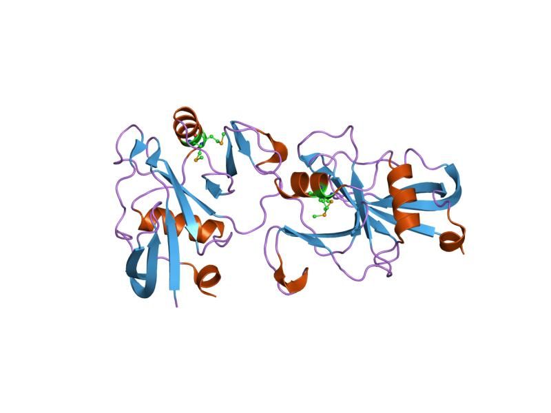 File:PDB 1uuh EBI.jpg