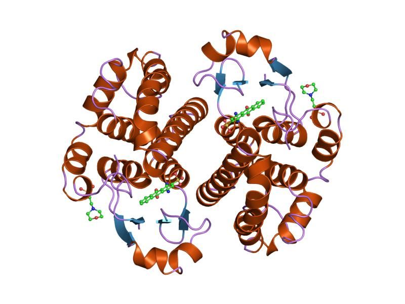 File:PDB 20gs EBI.jpg