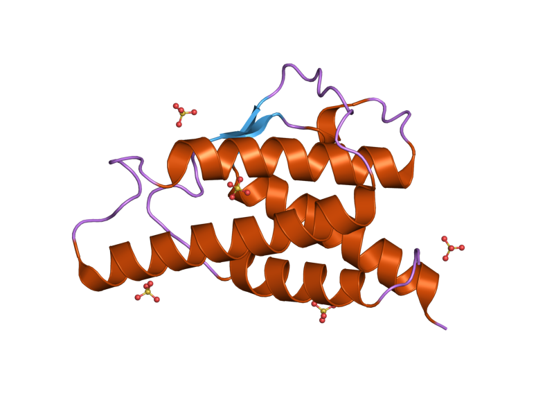 File:PDB 2b8x EBI.png