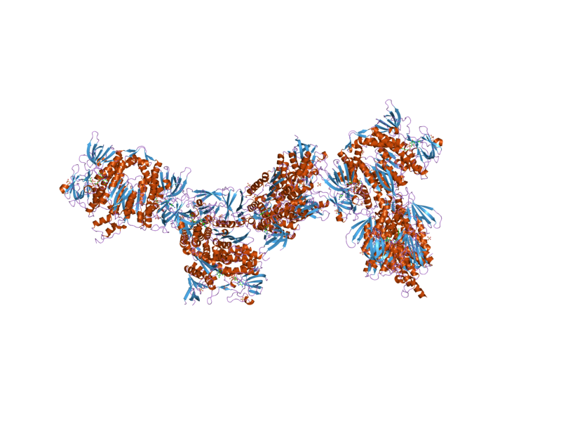 File:PDB 2f5z EBI.png