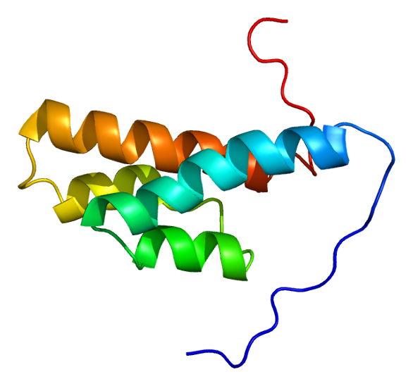 File:Protein DLC1 PDB 2dky.png