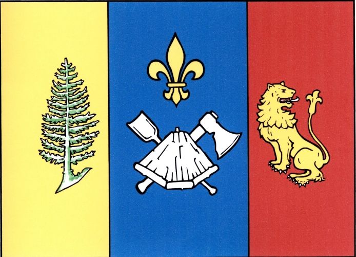 File:Světnov flag.jpg