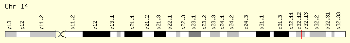 TMEM251 chromosome location