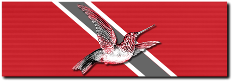 File:WP Trinidad Tobago ribbon.png