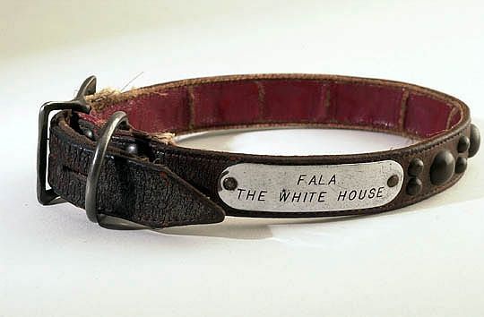 File:Fala collar.jpg