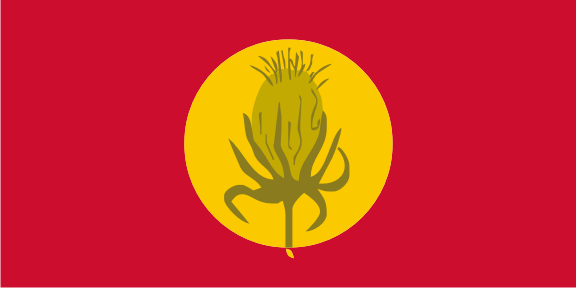 File:Flag of Vevchani Municipality, North Macedonia.png