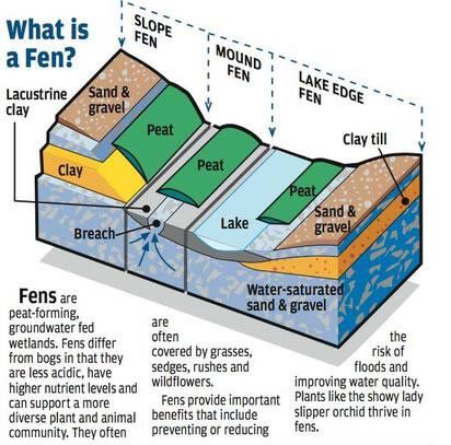 File:Illustrated diagram of a fen.jpg