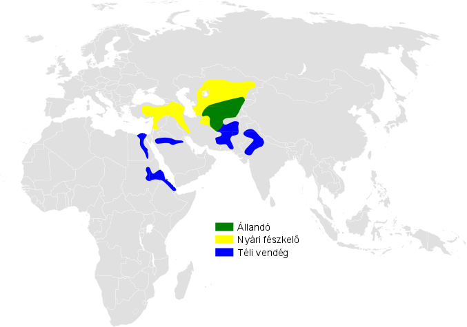 File:Melanocorypha bimaculata distribution map.png