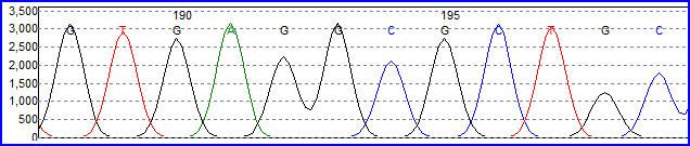 File:Mutation Surveyor Trace.jpg