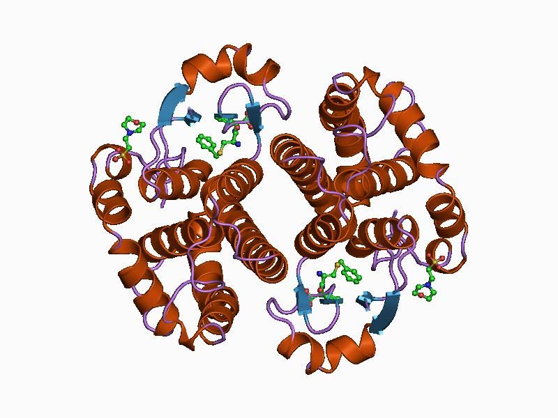 File:PDB 10gs EBI.jpg