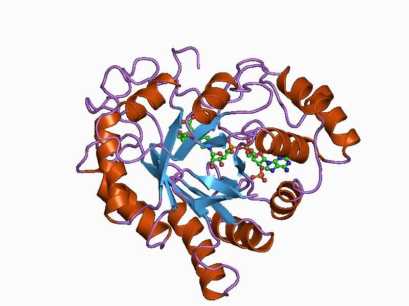 File:PDB 1az2 EBI.jpg