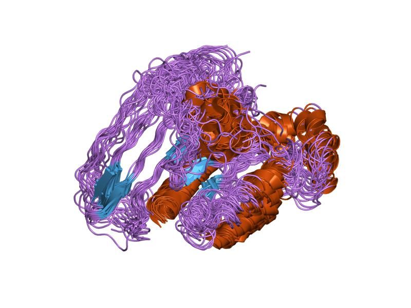 File:PDB 1ees EBI.jpg