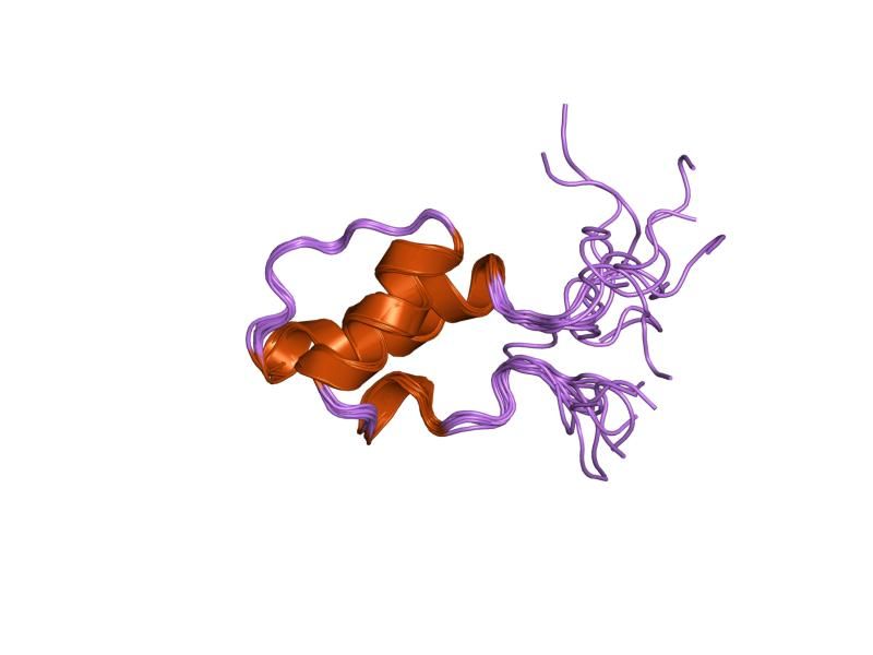 File:PDB 1h9f EBI.jpg