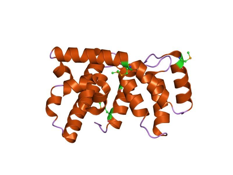 File:PDB 1htj EBI.jpg