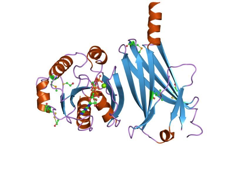 File:PDB 1ksj EBI.jpg