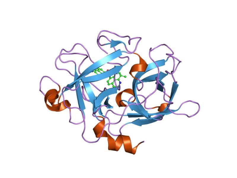 File:PDB 1owj EBI.jpg