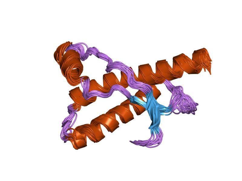 File:PDB 1qm3 EBI.jpg