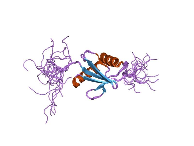 File:PDB 1wj6 EBI.jpg