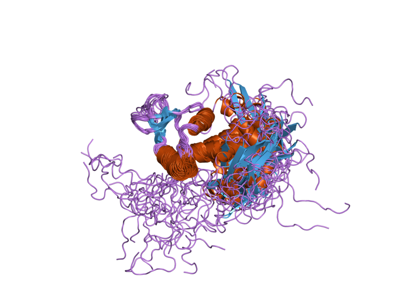 File:PDB 2g2k EBI.png