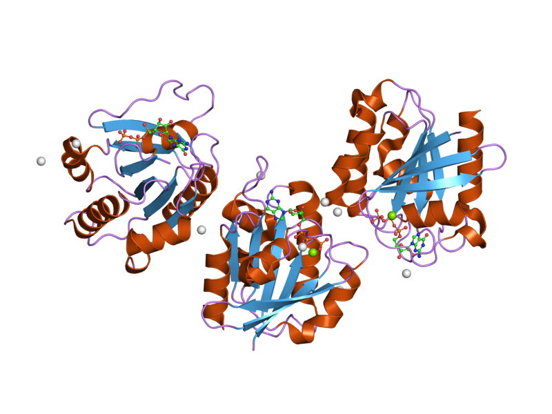 File:PDB 2h57 EBI.png