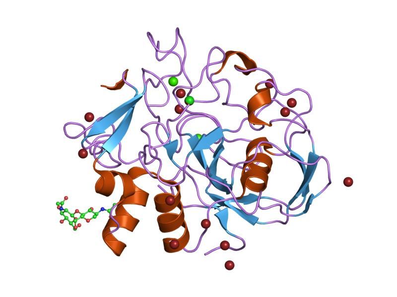 File:PDB 2hi8 EBI.jpg