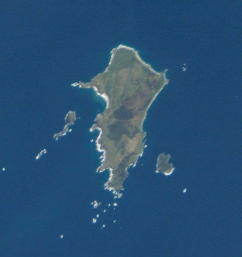 File:Pitt Island from Space ISS005-E-15265.jpg