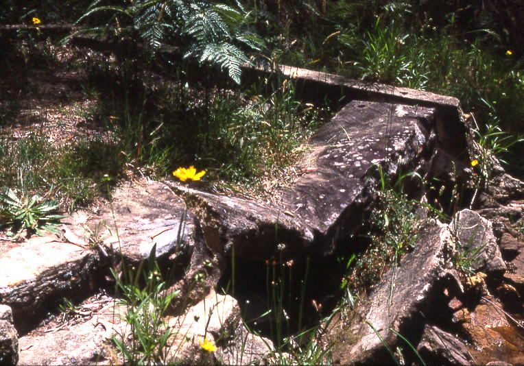 File:Ruins Wilson Glen Woodford.jpg