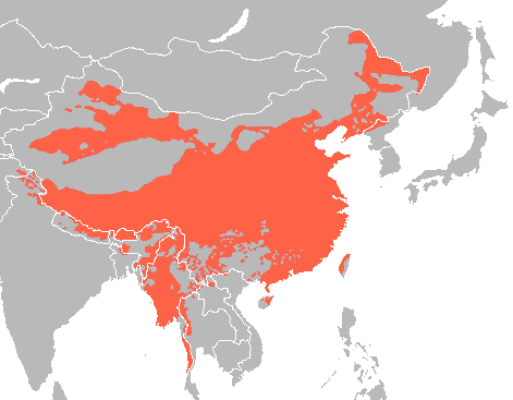 File:Sino-tibetan languages.png