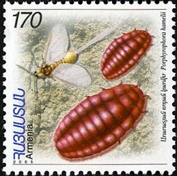 File:Armenian Stamp Karmin.jpg