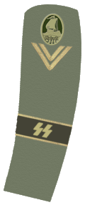 File:Freikorps - Marinebrigade Ehrhardt OR-3 (1919-1933).png