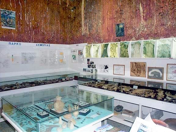 File:Macedonian Museums-60-Laogr Fys Loutrakioy Pellas-263.jpg