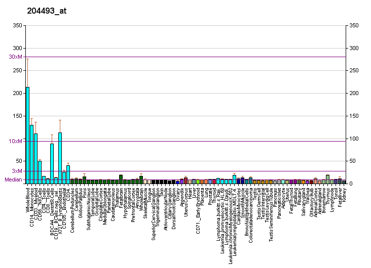 File:PBB GE BID 204493 at fs.png