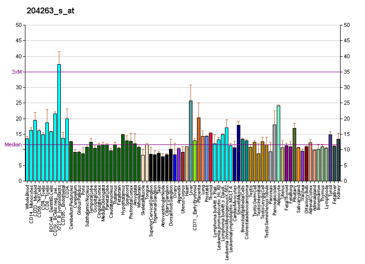 File:PBB GE CPT2 204263 s at fs.png