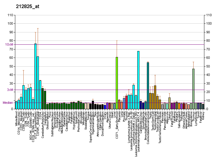 File:PBB GE PAXIP1 212825 at fs.png